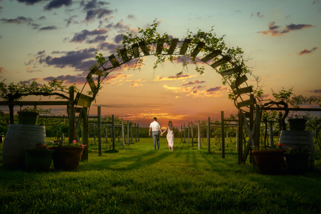 Galena Proposal at Galena Cellars Vineyard by Amy May Photography